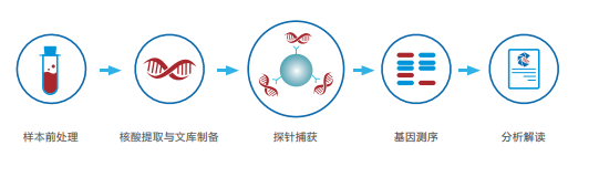 IDseq™Ultra流程图